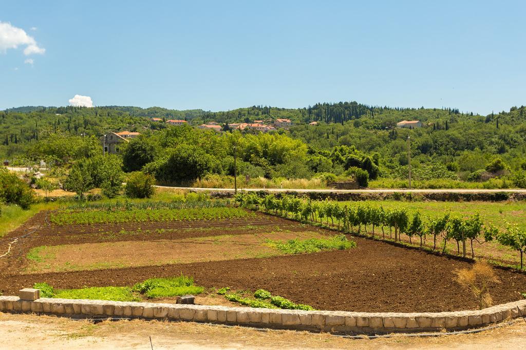 Konavle Apartments Zlatovisce Gruda Luaran gambar