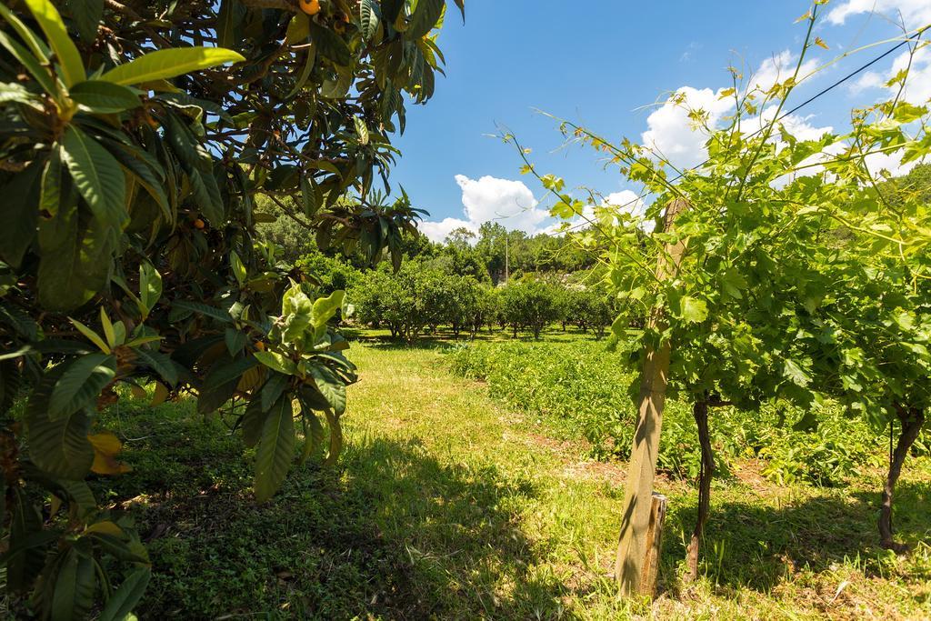 Konavle Apartments Zlatovisce Gruda Luaran gambar