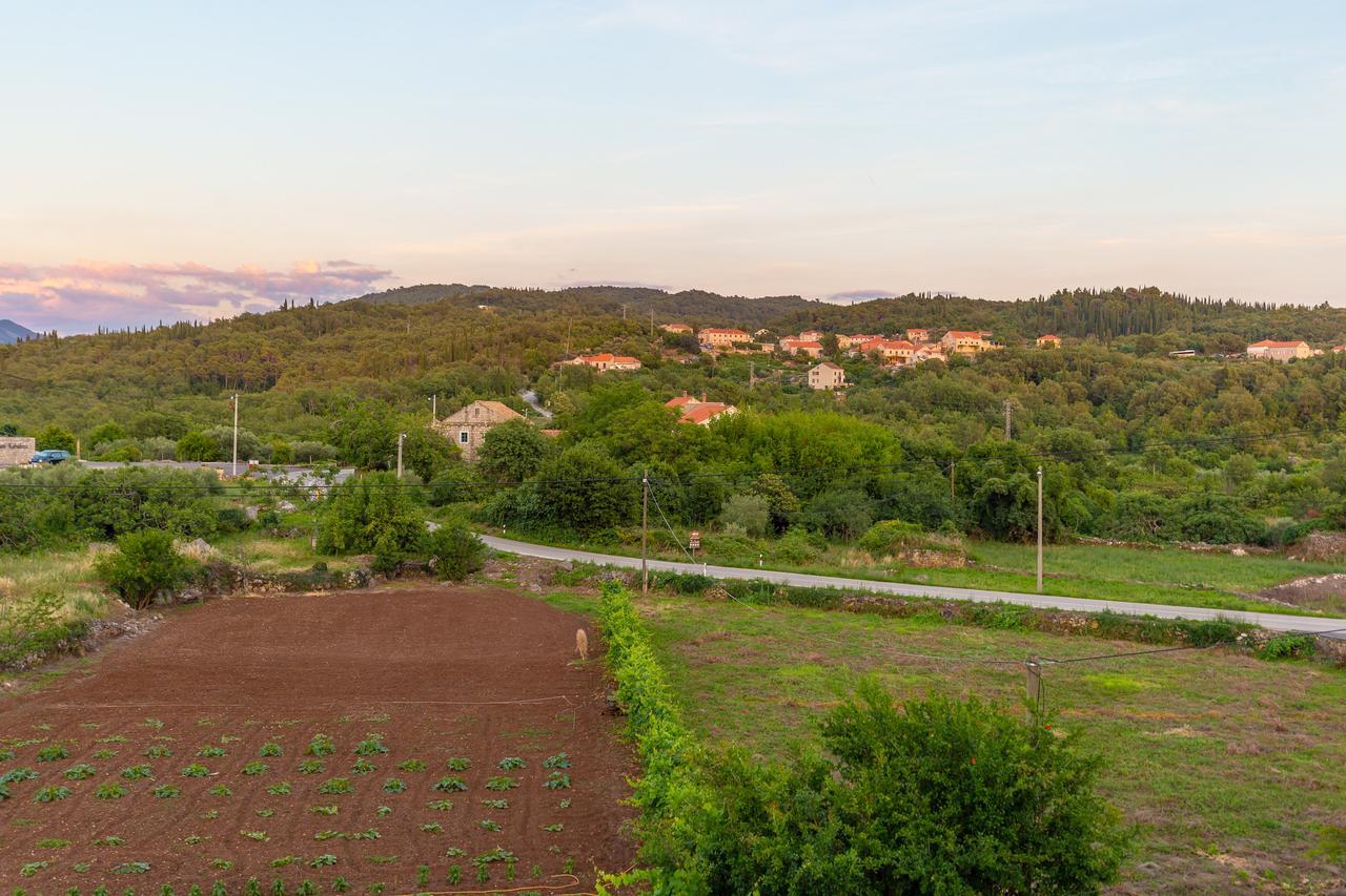 Konavle Apartments Zlatovisce Gruda Luaran gambar
